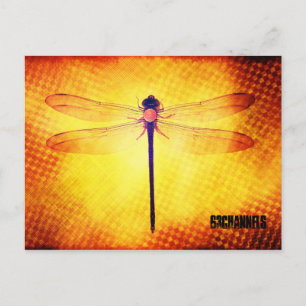 Carte postale Dragonfly