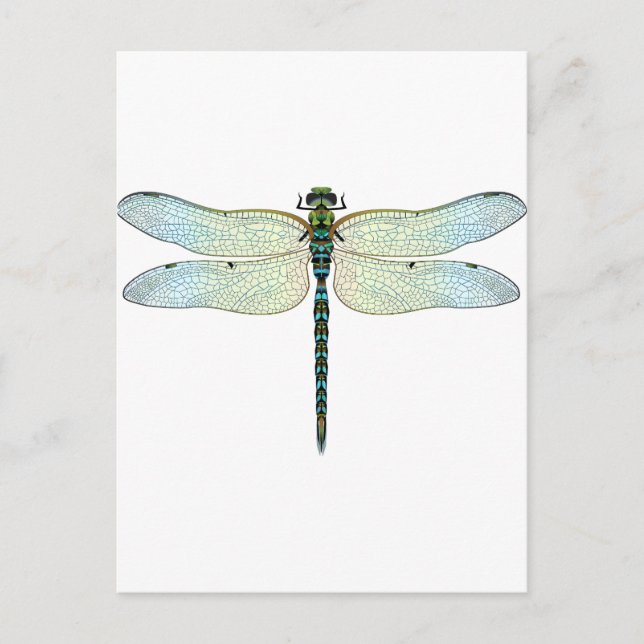 Carte Postale DragonFly (Devant)