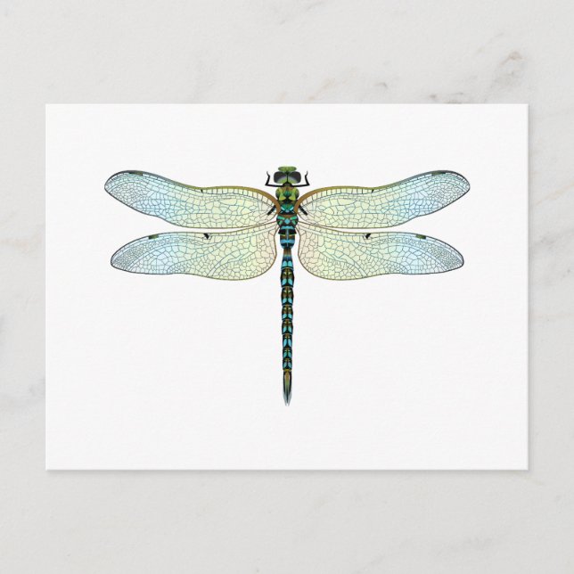 Carte Postale DragonFly (Devant)