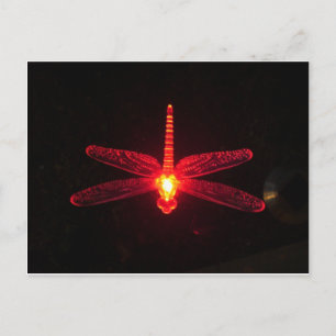 Carte Postale Dragonfly