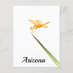 Carte Postale Dragonfly, Arizona