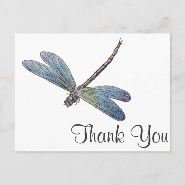 Carte Postale Dragonfly bleu vintage (Devant)