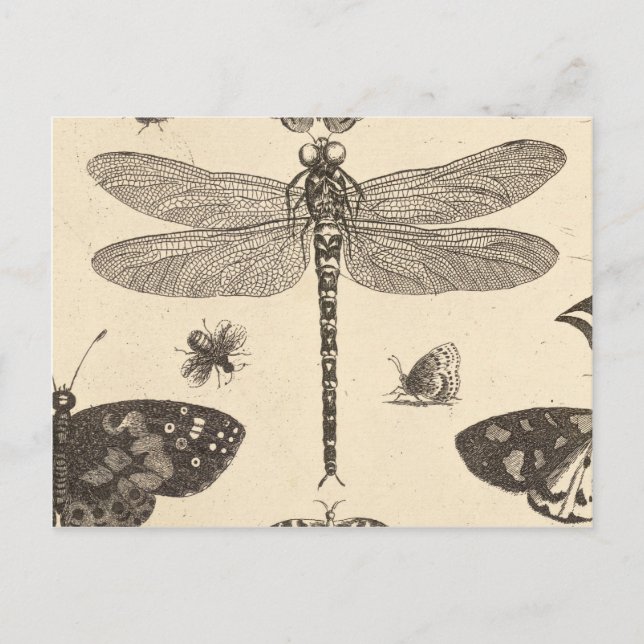 Carte Postale Dragonfly ( détail ) Art Vintage (Devant)