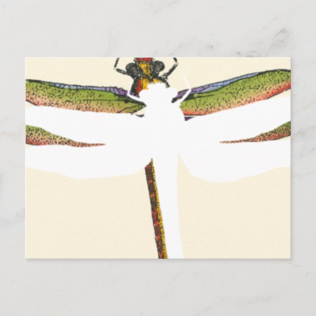 Carte Postale Dragonfly miniature sur Arrière - plan blanc (Devant)