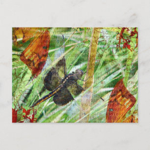 Carte Postale Dragonfly, s'envoler