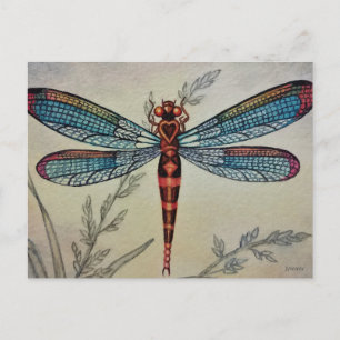 Carte Postale Dragonfly vintage no 1 et Grass Watercolor Art