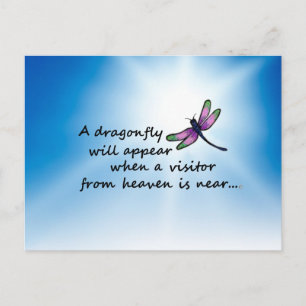 Carte Postale Dragonfly, Visiteur du ciel