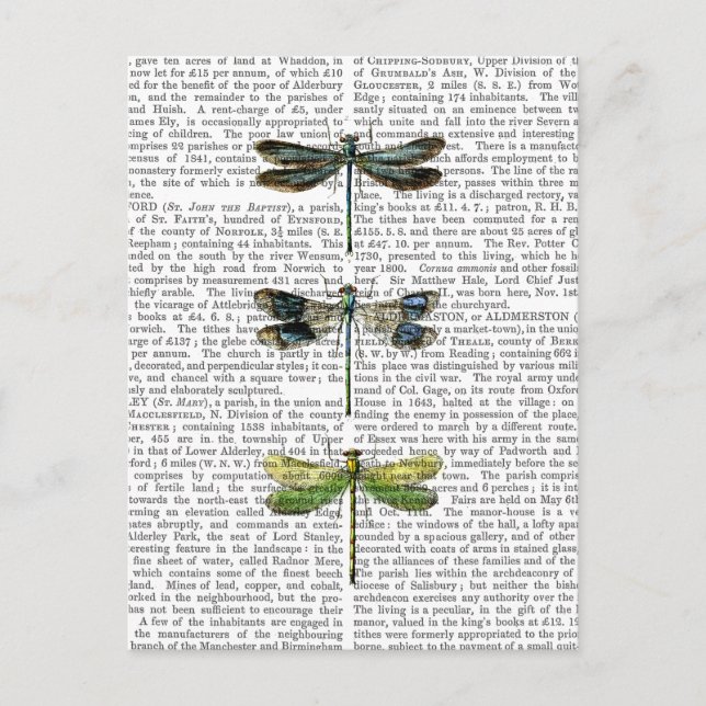 Carte Postale Dragonlies Imprimer 3 (Devant)
