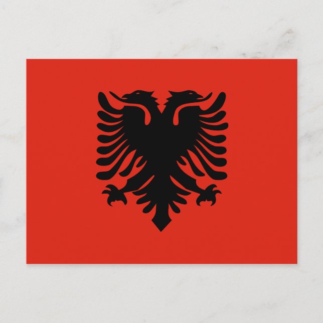 Carte Postale Drapeau Albanie (Devant)