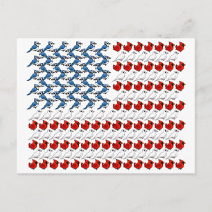 Carte Postale Drapeau américain des oiseaux