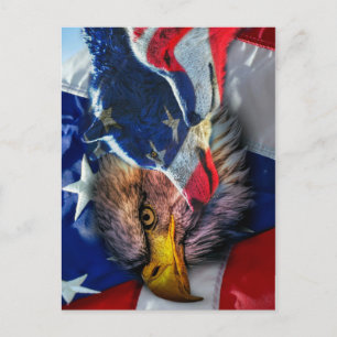 Carte Postale Drapeau américain du loup d'aigle chauve