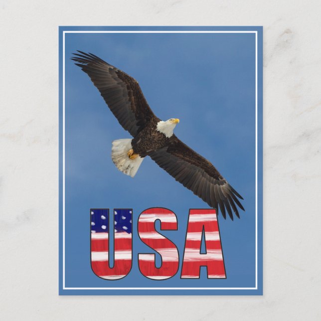 Carte Postale Drapeau américain et aigle à tête blanche (Devant)