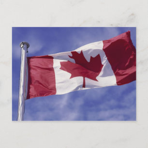 Carte Postale Drapeau canadien