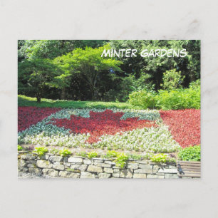 Carte Postale Drapeau canadien des fleurs