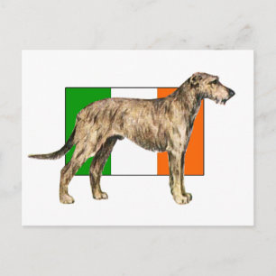 Carte Postale Drapeau de l'Irlande Porte-loup irlandais