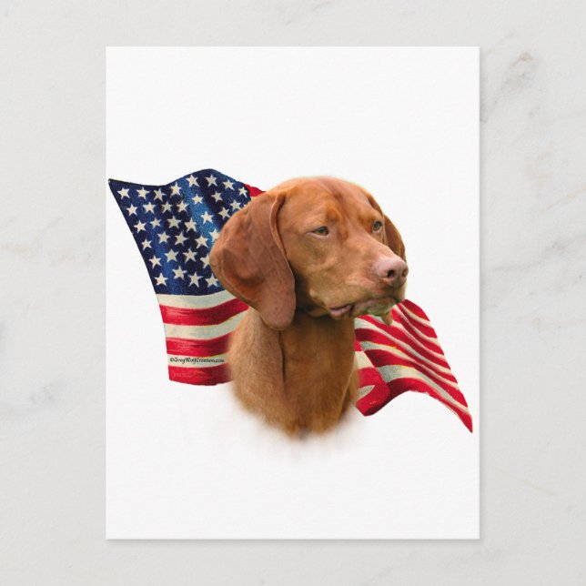 Carte Postale Drapeau de Vizsla (Devant)