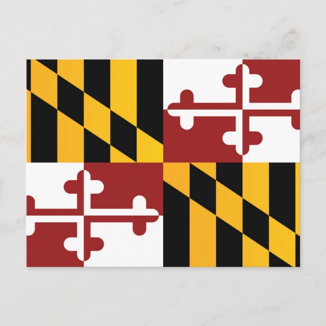Carte Postale Drapeau d'État du Maryland (États-Unis) (Devant)