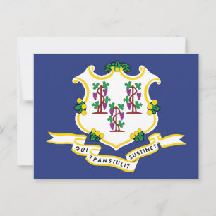 Carte Postale Drapeau du Connecticut Souvenir État de la noix de
