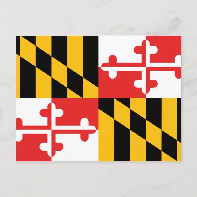Carte Postale Drapeau du Maryland (Devant)
