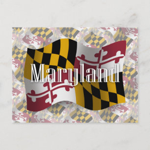 Carte Postale Drapeau du Maryland