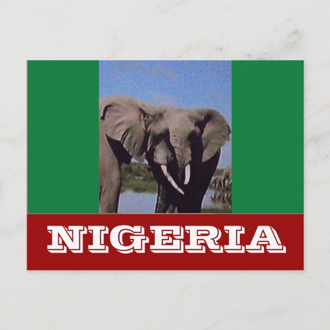 Carte Postale Drapeau du Nigeria (Devant)