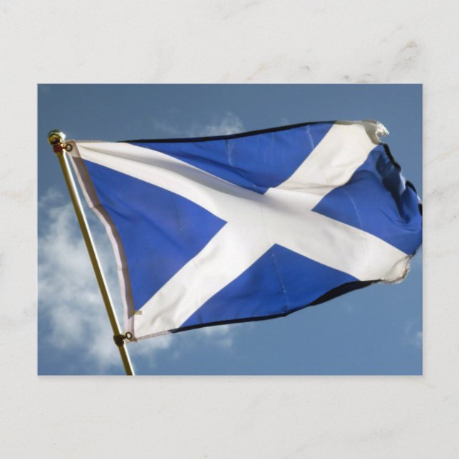 Carte Postale drapeau écossais (Devant)