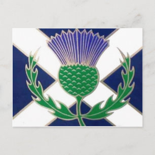 Carte Postale Drapeau écossais et chardon