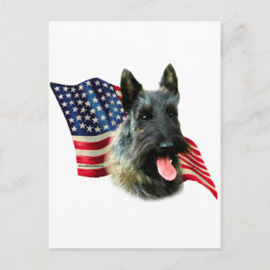 Carte Postale Drapeau écossais Terrier (brindle)