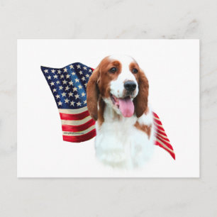Carte Postale Drapeau espagnol Welsh Springer