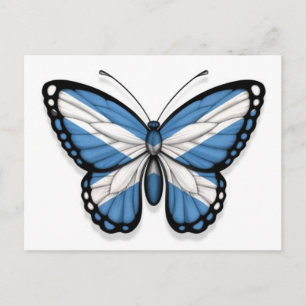 Carte Postale Drapeau papillon écossais