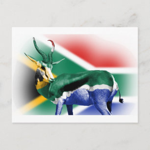 Carte Postale Drapeau Springbock sud-africain