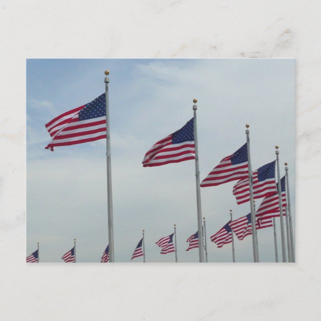 Carte Postale Drapeaux américains au Monument de Washington (Devant)