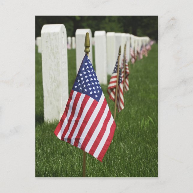 Carte Postale Drapeaux américains sur les tombes des vétérans am (Devant)