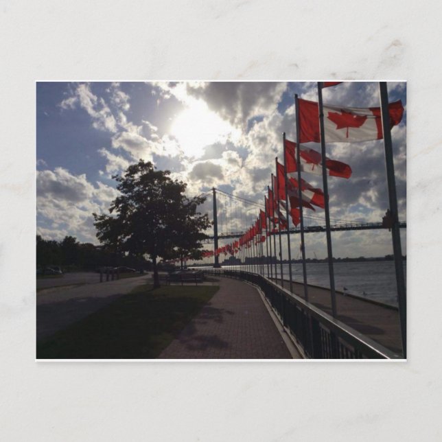 Carte Postale Drapeaux canadiens au bord de la rivière (Devant)