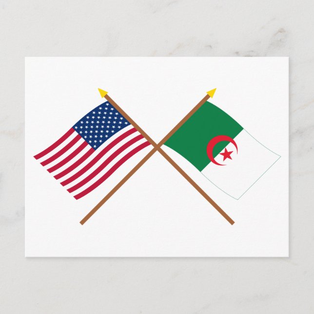 Carte Postale Drapeaux croisés des États-Unis et de l'Algérie (Devant)