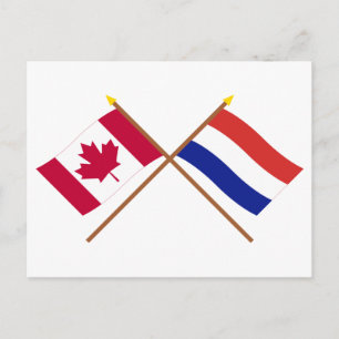 Carte Postale Drapeaux croisés du Canada et de Pays-Bas