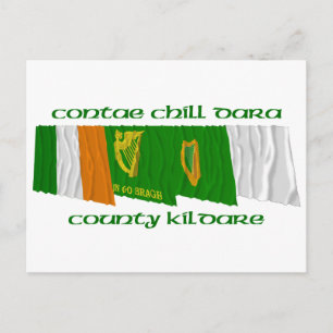 Carte Postale Drapeaux du comté de Kildare