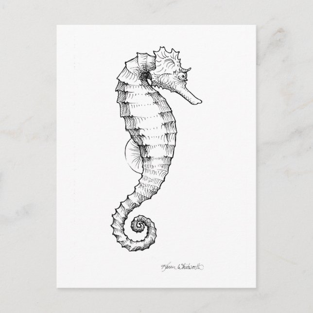 Carte Postale Drawing noir et blanc de Seahorse (Devant)