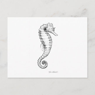 Carte Postale Drawing noir et blanc de Seahorse