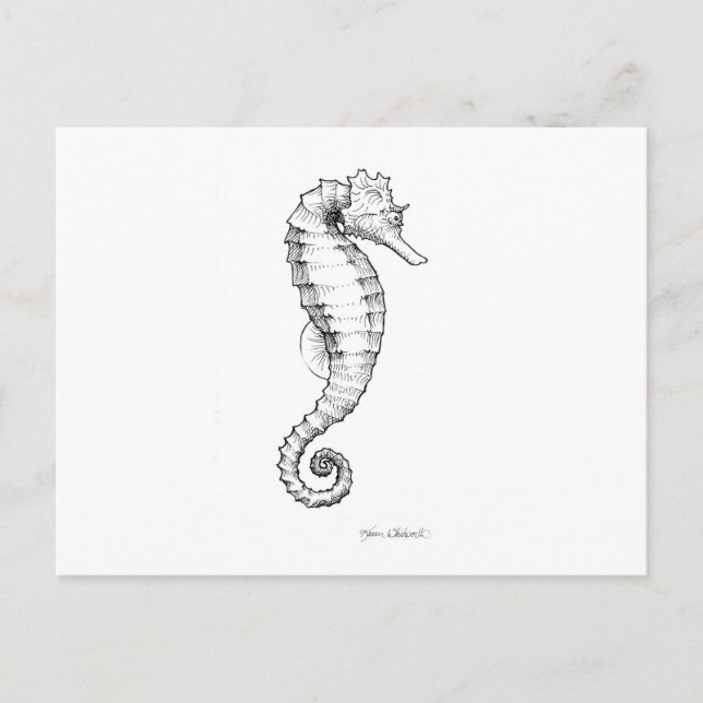 Carte Postale Drawing noir et blanc de Seahorse (Devant)