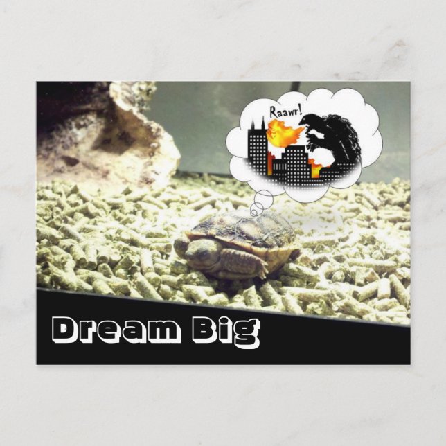 Carte Postale Dream Big (Devant)