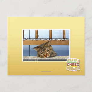 Carte Postale Dreaming of Cheesburgers