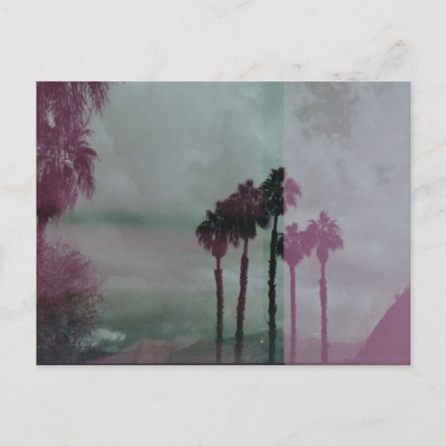 Carte Postale Dreaming Technicolor Palm Trees (Devant)