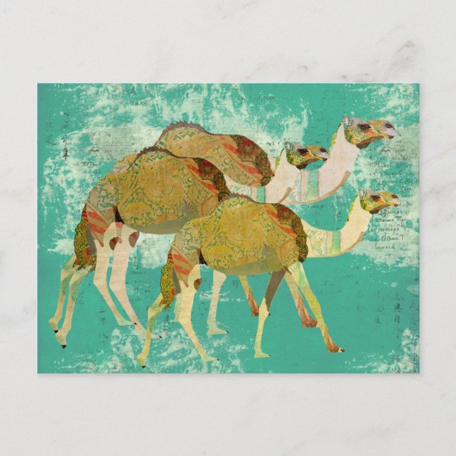 Carte postale Dreamy Camels (Devant)