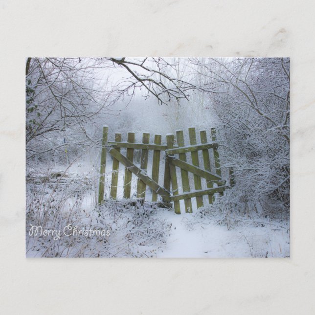 Carte Postale Dreamy Winter merveilleuse (Devant)