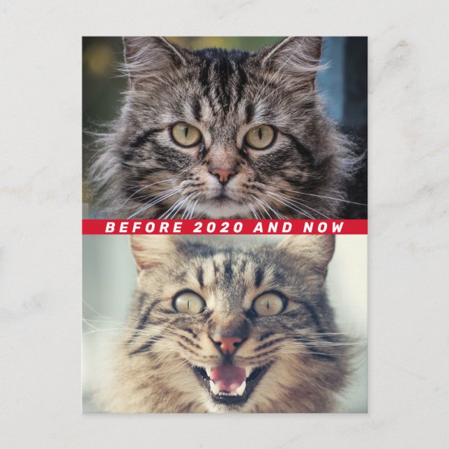 Carte Postale Drôle Avant Et Après 2020 Chat Comment Faites-Vous (Devant)