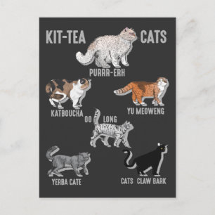 Carte Postale Drôle Boisson de thé Chat Humour Kitten Aimer