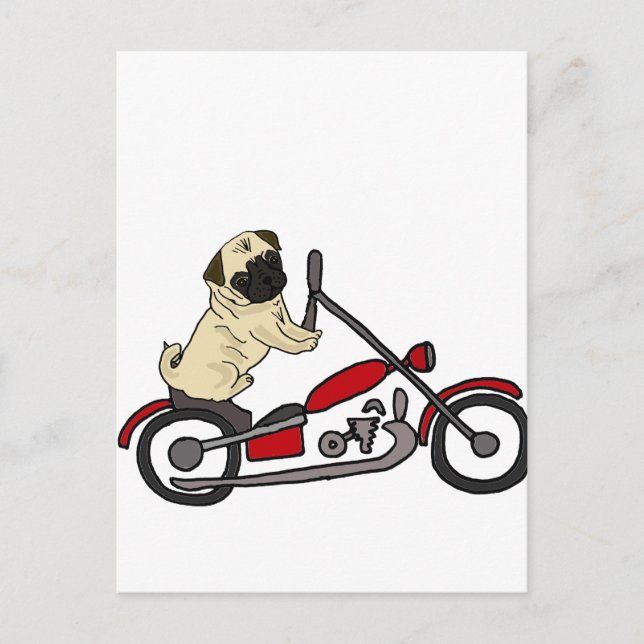 Carte Postale Drôle Carlin Chien équitation Moto Art (Devant)