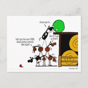 Carte Postale Drôle Carton Pyramide Horse