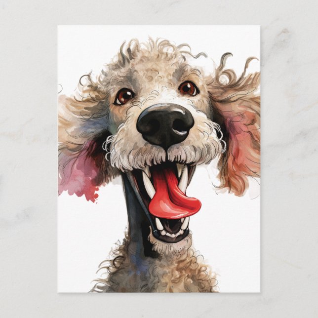 Carte Postale Drôle Cartoon de caniche (Devant)